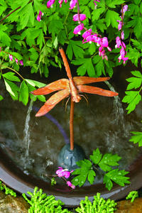 Dragonfly Fountain