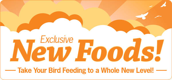 Exclusive New Foods! Take Your Bird Feeding to a Whole New Level!