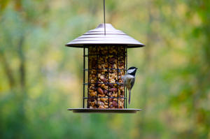 Tidy Cylinder Feeder